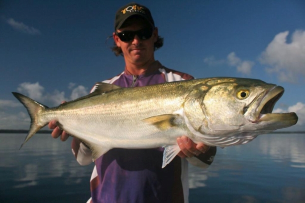 Massive Basin chopper!